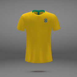 football kit of brazil vector