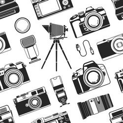 Camera Icon Pattern vector image