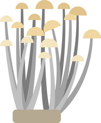 enoki mushrooms flat on white vector