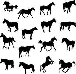 Black Horse Silhouettes Vector Image
