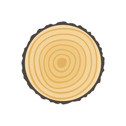 Cross section of tree stump or trunk wood cut Vector Image