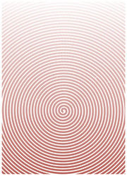 abstract background of the lines different vector image
