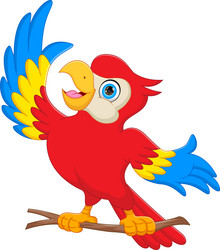 Cute parrot cartoon on white background vector