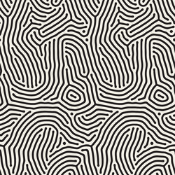 Chaotic Rounded Line Pattern vector image