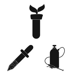 isolated object of and sign collection vector image