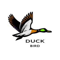 Flying Duck Logo - Modern Emblem Vector Image