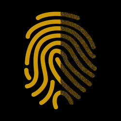 fingerprint signature in binary code vector