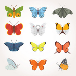 printset of colorful butterfly design vector image