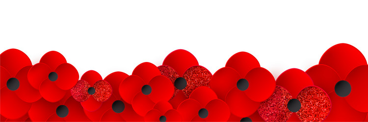 remembrance day web header realistic red poppy vector image