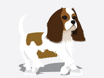 Spaniel Vector Images (over 2,400)
