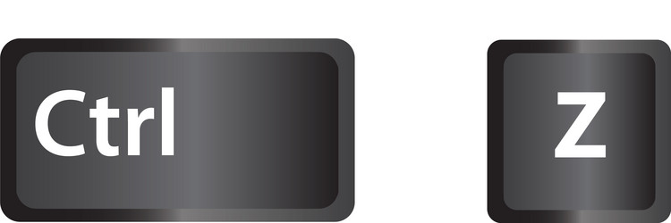 ctrl z key icon on white background keyboard vector image