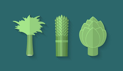 a set of vegetables in flat style - celery vector image