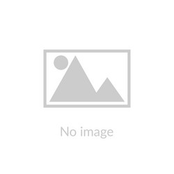 Missing Placeholder Icon - Website Error vector image