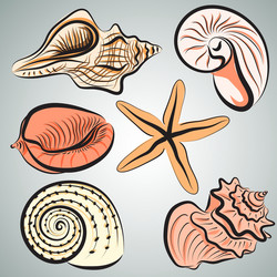 Shells seamless4 Royalty Free Vector Image - VectorStock