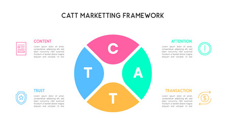segmented circle catt marketing framework vector image