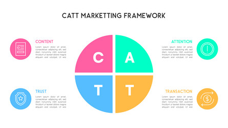 segmented circle catt marketing framework vector image
