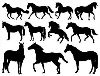 Horse Silhouette Artwork Vector Image