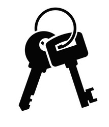 Keys icon vector