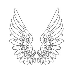 decorative angel wings isolated contour Vector Image
