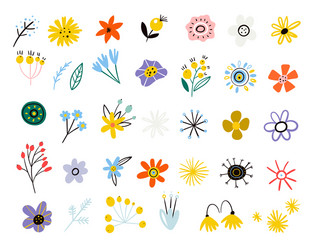 Floral Summer Collection Vector Image