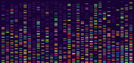 Genomic Data Sequence Visualization vector image