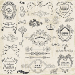 Vintage set calligraphic design elements and page Vector Image