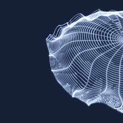 cobweb network background connection structure 3d vector image