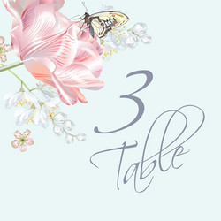 tulip butterfly number Vector Image