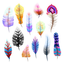 Big set of different colorful feathers on white vector