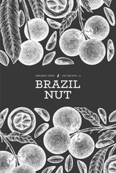 hand drawn brazilian branch and kernels vector