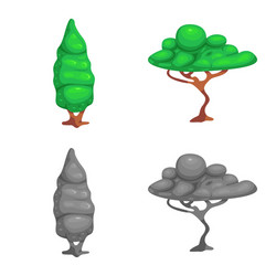 isolated object of tree and nature sign vector image