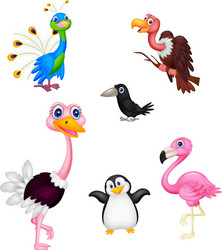 Cartoon Birds Collection Vector Image