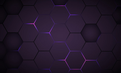 Dark Violet Hexagon Tech Background vector image