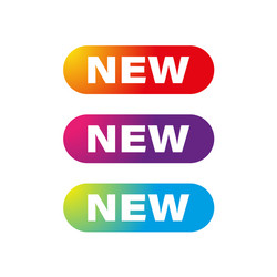 new web button set vector image