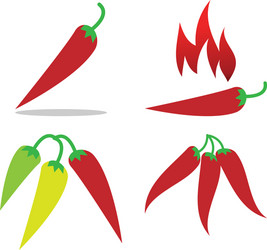 Red hot chilli vector