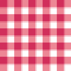 Red and White Checked Pattern vector image