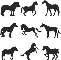 Horse Silhouettes - Black Pony Set Vector Image