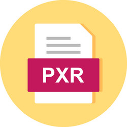 pxr file document icon vector image