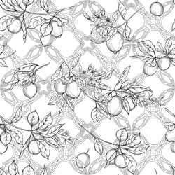 lemon tree branch with lemons seamless pattern vector image