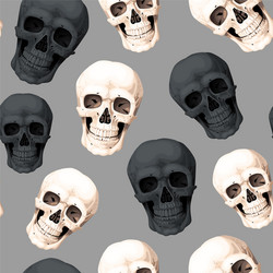 seamless pattern with whire and black skulls Vector Image