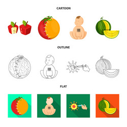 isolated object of test and synthetic icon vector image