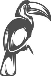 Parrot logo icon design template Royalty Free Vector Image