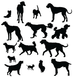 Dog Silhouettes Collection Vector Image