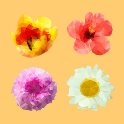 low poly flowers set four low-poly vector