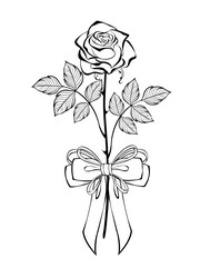 rose with outline bow Vector Image