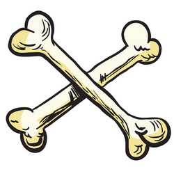 Crossed Bones Symbol Vector Image