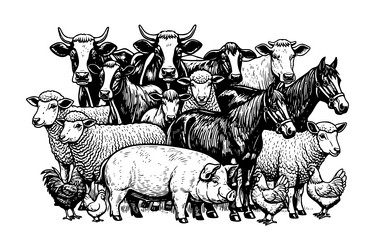 group of various farm animals together Vector Image