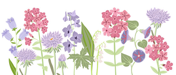 drawing garden flowers Vector Image