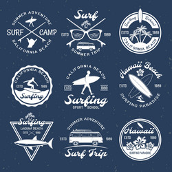 Surfing Emblems & Summer Vibes Vector Image