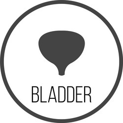 human bladder icon simple vector